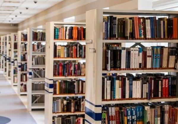 Shelves of books inside a library